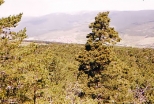 Vista desde la Cueva T. Melitón